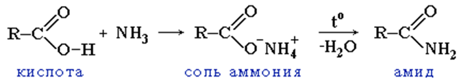 Амид ангидрид. Муравьиная кислота и аммиак реакция. Реакция карбоновых кислот с аммиаком. Карбоновая кислота плюс аммиак реакция. Пропионовая кислота и аммиак.