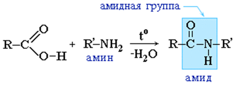 Уксусная кислота формула. Амина уксусная кислота формула. Уксусная кислота и Амин реакция. Реакция уксусной кислоты с аминами. Амидная группа реакции.