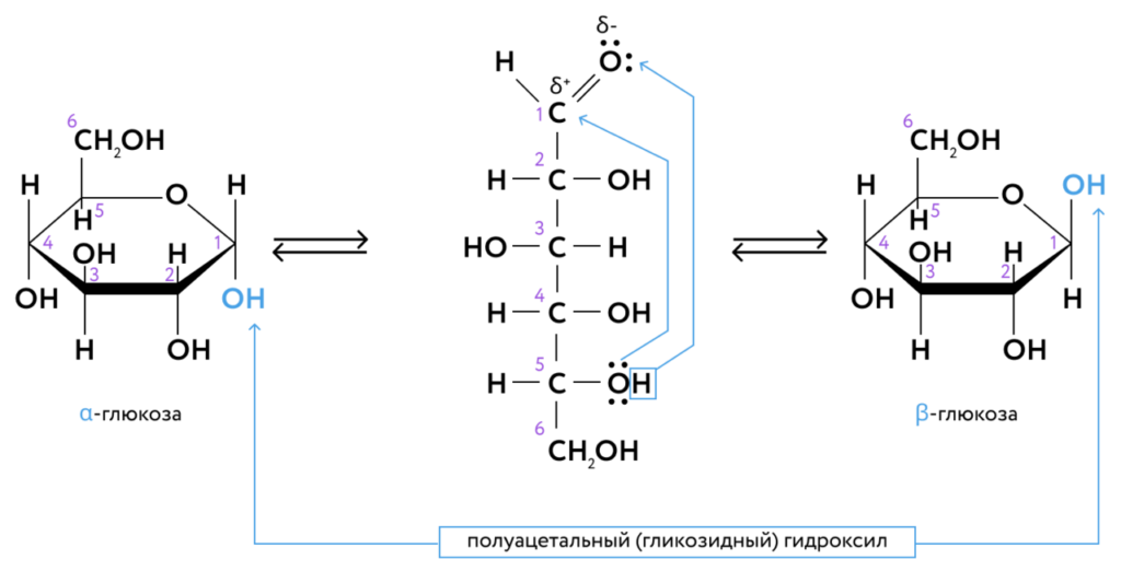 Фруктоза формула фишера. Формулы Фишера и Хеуорса. Манноза проекция Хеуорса. D Глюкоза формула Хеуорса. Глюкоза формула Фишера и Хеуорса.
